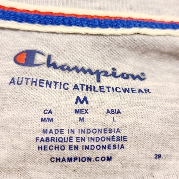 Champion | Women's Gray Heritage Cropped Long Sleeve Striped Tee (Size Medium) - Picture 3 of 12